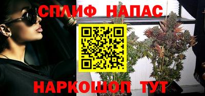 гашик Кунгур