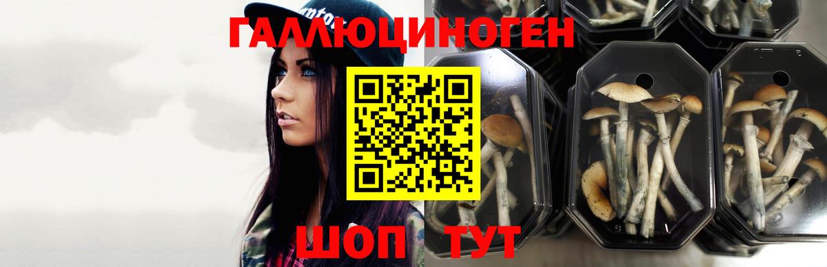 Псилоцибиновые грибы ЛСД Клин